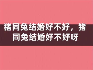 猪同兔结婚好不好，猪同兔结婚好不好呀