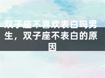 双子座不喜欢表白吗男生，双子座不表白的原因