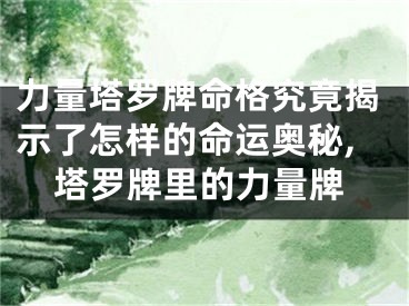 力量塔罗牌命格究竟揭示了怎样的命运奥秘,塔罗牌里的力量牌