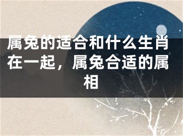 属兔的适合和什么生肖在一起，属兔合适的属相