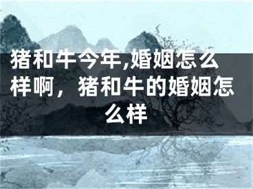 猪和牛今年,婚姻怎么样啊，猪和牛的婚姻怎么样