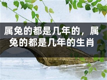 属兔的都是几年的，属兔的都是几年的生肖