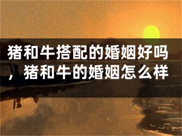 猪和牛搭配的婚姻好吗，猪和牛的婚姻怎么样