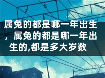 属兔的都是哪一年出生，属兔的都是哪一年出生的,都是多大岁数