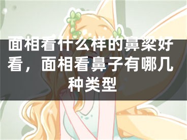 面相看什么样的鼻梁好看,面相看鼻子有哪几种类型