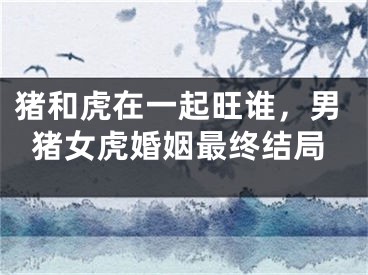 猪和虎在一起旺谁，男猪女虎婚姻最终结局