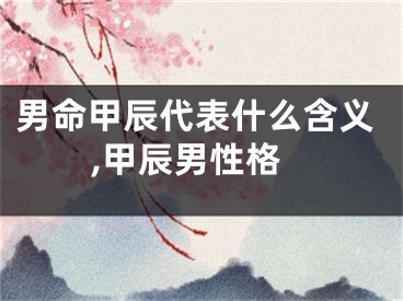 男命甲辰代表什么含义,甲辰男性格