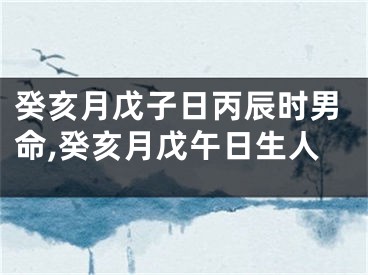 癸亥月戊子日丙辰时男命,癸亥月戊午日生人