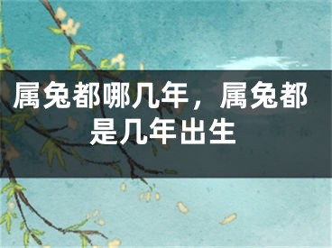 属兔都哪几年，属兔都是几年出生
