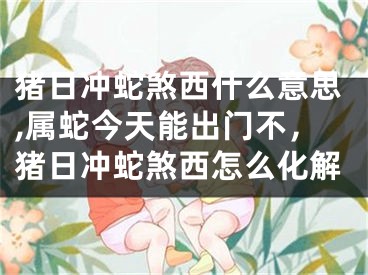 猪日冲蛇煞西什么意思,属蛇今天能出门不，猪日冲蛇煞西怎么化解