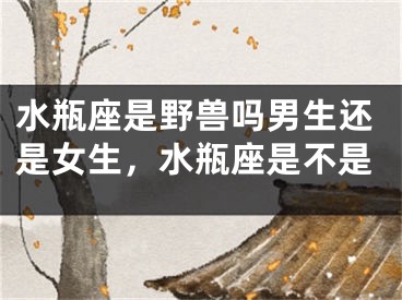 水瓶座是野兽吗男生还是女生，水瓶座是不是