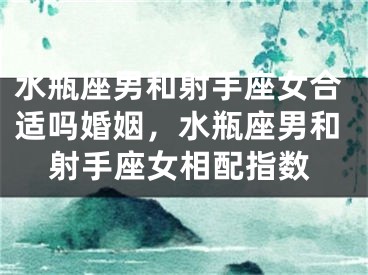 水瓶座男和射手座女合适吗婚姻，水瓶座男和射手座女相配指数