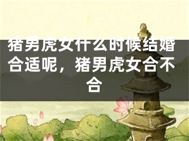 猪男虎女什么时候结婚合适呢，猪男虎女合不合