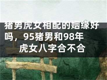猪男虎女相配的姻缘好吗，95猪男和98年虎女八字合不合