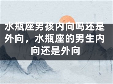 水瓶座男孩内向吗还是外向，水瓶座的男生内向还是外向