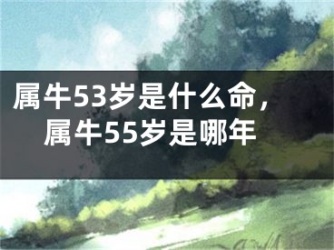 属牛53岁是什么命，属牛55岁是哪年