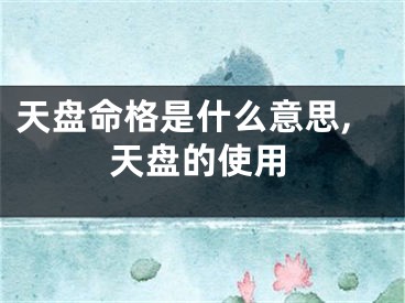 天盘命格是什么意思,天盘的使用