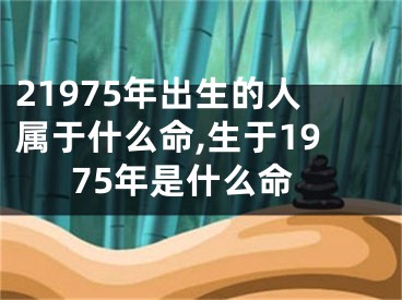 21975年出生的人属于什么命,生于1975年是什么命