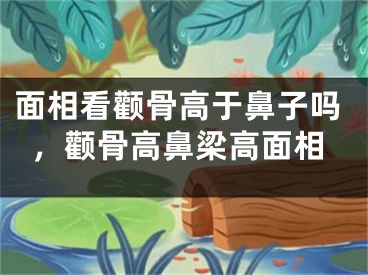 面相看颧骨高于鼻子吗，颧骨高鼻梁高面相