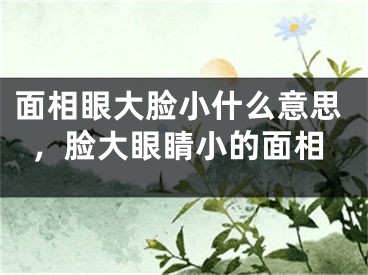 面相眼大脸小什么意思,脸大眼睛小的面相