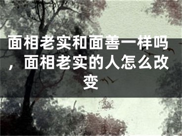 面相老实和面善一样吗，面相老实的人怎么改变