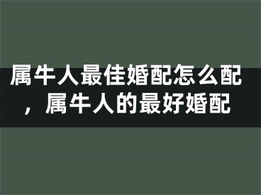 属牛人最佳婚配怎么配，属牛人的最好婚配