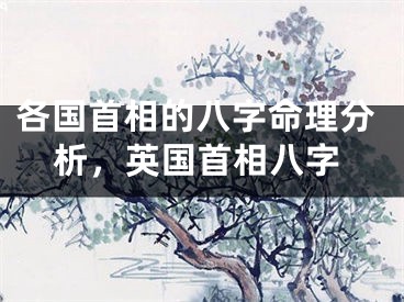 各国首相的八字命理分析，英国首相八字