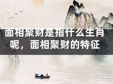 面相聚财是指什么生肖呢，面相聚财的特征