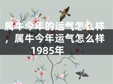 属牛今年的运气怎么样，属牛今年运气怎么样1985年