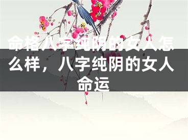 命格八字纯阴的女人怎么样，八字纯阴的女人命运