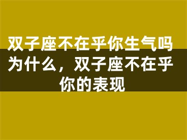 双子座不在乎你生气吗为什么，双子座不在乎你的表现