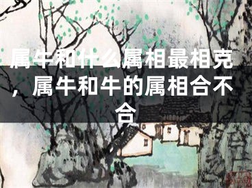 属牛和什么属相最相克，属牛和牛的属相合不合