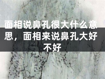 面相说鼻孔很大什么意思，面相来说鼻孔大好不好