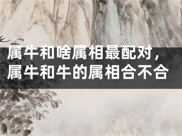 属牛和啥属相最配对，属牛和牛的属相合不合