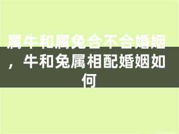 属牛和属兔合不合婚姻，牛和兔属相配婚姻如何