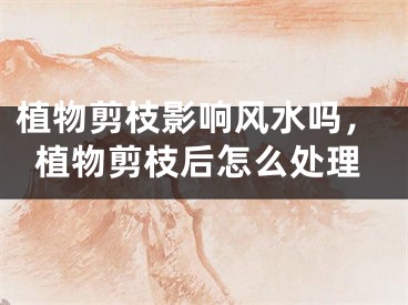 植物剪枝影响风水吗，植物剪枝后怎么处理
