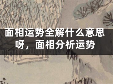 面相运势全解什么意思呀，面相分析运势