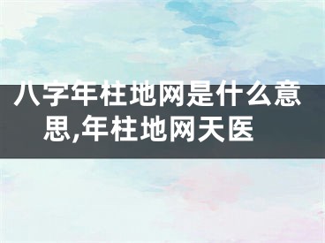 八字年柱地网是什么意思,年柱地网天医