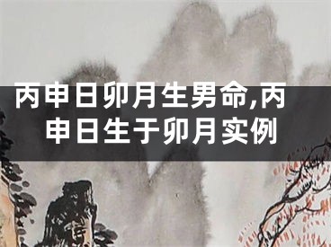 丙申日卯月生男命,丙申日生于卯月实例