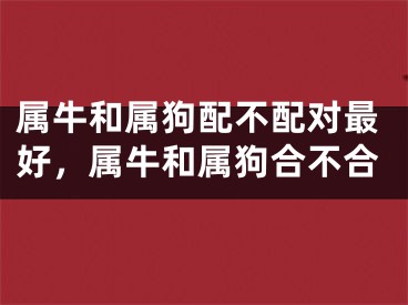 属牛和属狗配不配对最好,属牛和属狗合不合