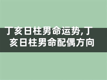丁亥日柱男命运势,丁亥日柱男命配偶方向