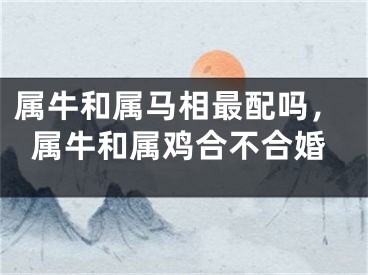 属牛和属马相最配吗，属牛和属鸡合不合婚