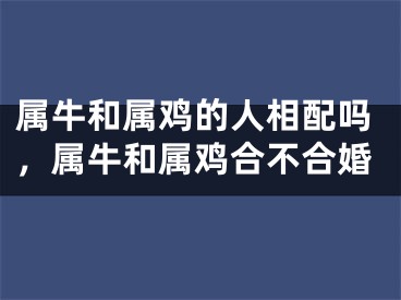 属牛和属鸡的人相配吗，属牛和属鸡合不合婚