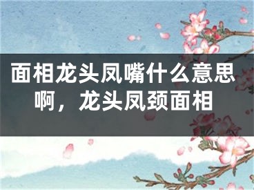 面相龙头凤嘴什么意思啊,龙头凤颈面相