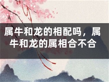 属牛和龙的相配吗，属牛和龙的属相合不合