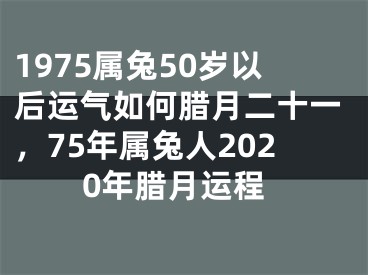1975属兔50岁以后运气如何腊月二十一,75年属兔人2020年腊月运程