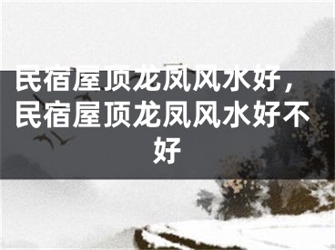 民宿屋顶龙凤风水好，民宿屋顶龙凤风水好不好