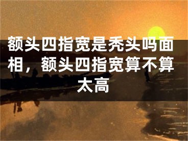 额头四指宽是秃头吗面相，额头四指宽算不算太高
