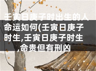壬寅日庚子时出生的人命运如何(壬寅日庚子时生,壬寅日庚子时生,命贵但有刑凶