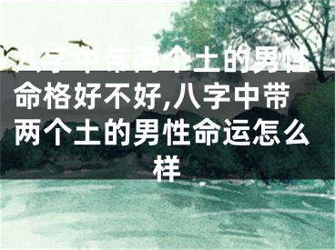 八字中带两个土的男性命格好不好,八字中带两个土的男性命运怎么样